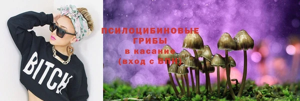 ALPHA PVP Нефтекумск