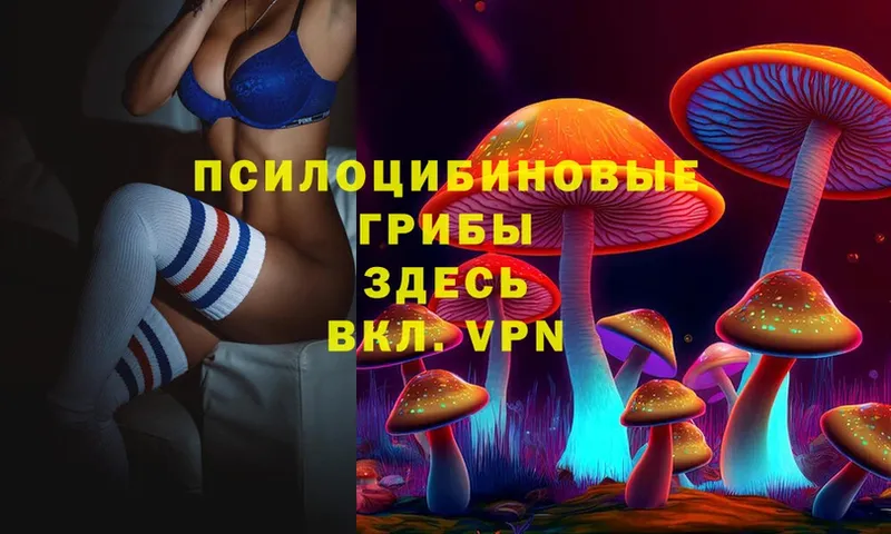 Галлюциногенные грибы Psilocybine cubensis  Барыш 